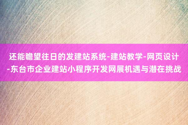 还能瞻望往日的发建站系统-建站教学-网页设计-东台市企业建站小程序开发网展机遇与潜在挑战