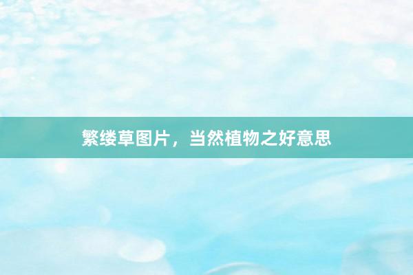 繁缕草图片，当然植物之好意思