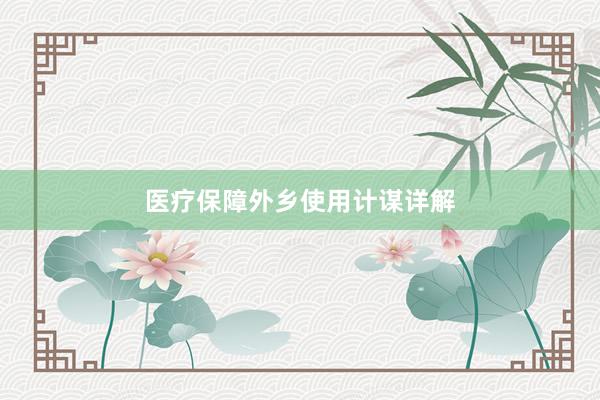 医疗保障外乡使用计谋详解